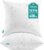 Oubonun 16×16 Outdoor Throw Pillow Inserts – Set of 2 Waterproof Cushions